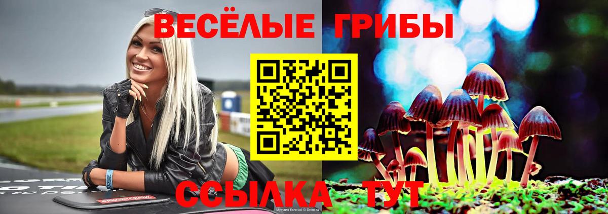 Дербент  где купить наркоту  Вход с VPN  Псилоцибиновые грибы ЛСД  Псилоцибиновые грибы мухоморы 